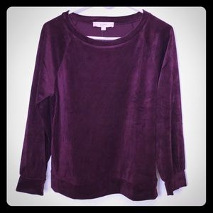 Plum Velour sweater with cuff sleeve